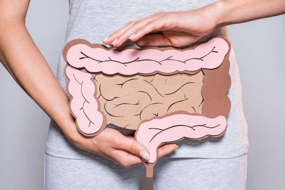 Is there a Connection between your thyroid, weight loss and gut health?